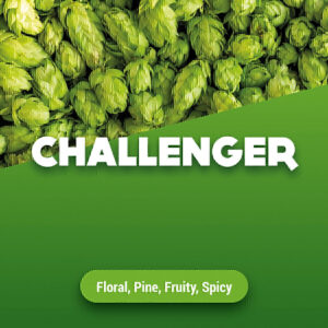 CHALLENGER HOPS 100G