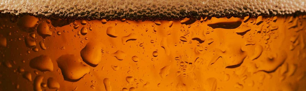 Banner2 1000x300