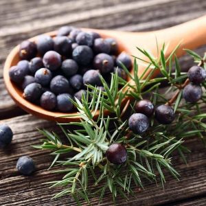 JUNIPER BERRIES 500G