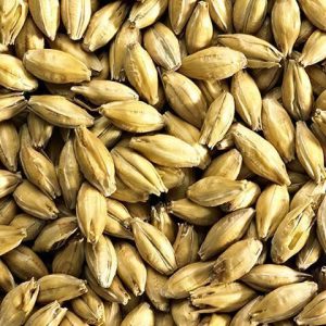 SIMPSONS MARIS OTTER MALTED GRAIN 1KG