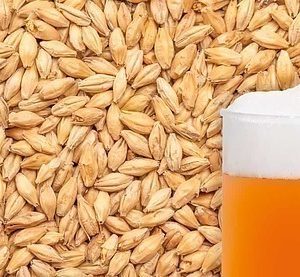 WEVERMANN RYE MALTED GRAIN 1KG