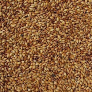 GLADFIELD TOFFEE GRAIN 1KG