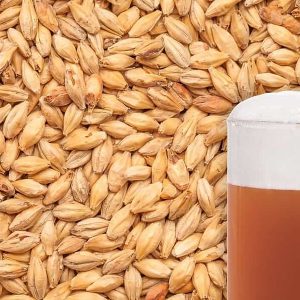 WEYERMANN CARAMEL PILSNER MALTED GRAIN 1KG