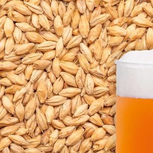 WEYERMANN ACIDULATATED GRAIN 1KG