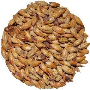 CARARED GRAIN X MALETED GRAIN