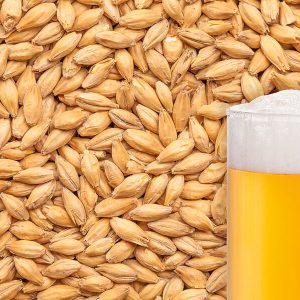 GLADFIELD LAGER LIGHT 1KG